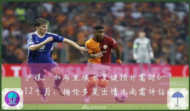 沪媒：加布里埃尔复健预计需时6-12个月，梅伦多复出情况尚需评估