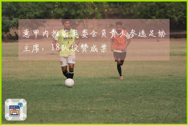 意甲内推前奥委会负责人参选足协主席，18队投赞成票