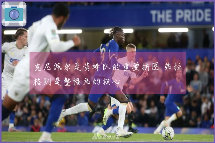 克尼佩尔是黄蜂队的重要拼图 弗拉格则是整幅画的核心