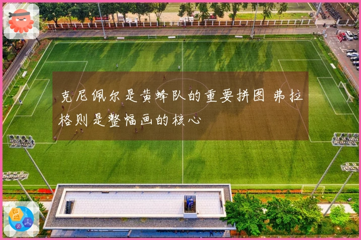 克尼佩尔是黄蜂队的重要拼图 弗拉格则是整幅画的核心