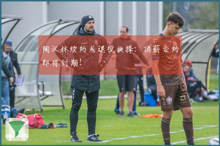 陶汉林续约或退役抉择：顶薪合约即将到期！